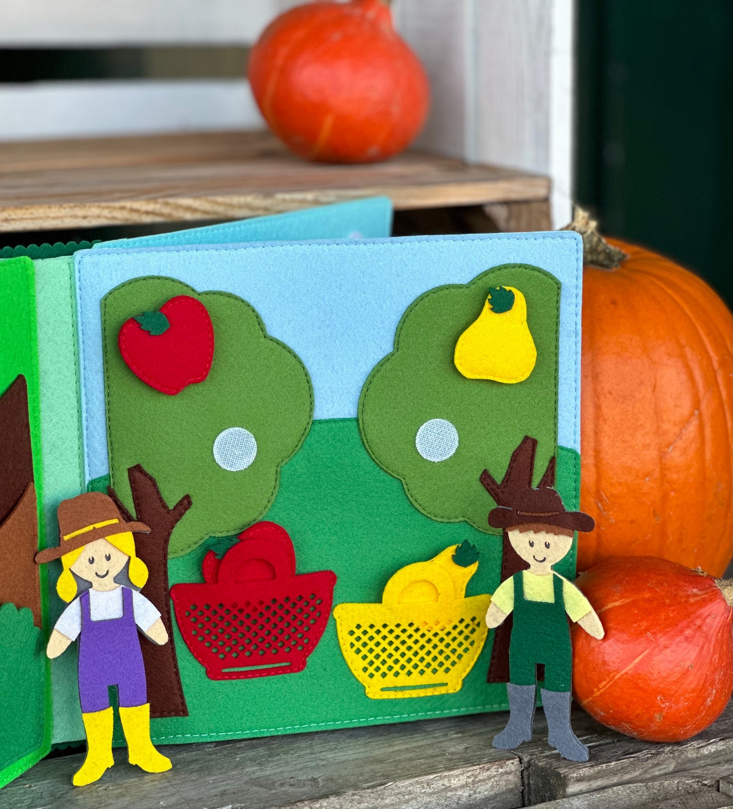 Quiet Book “Farm”
